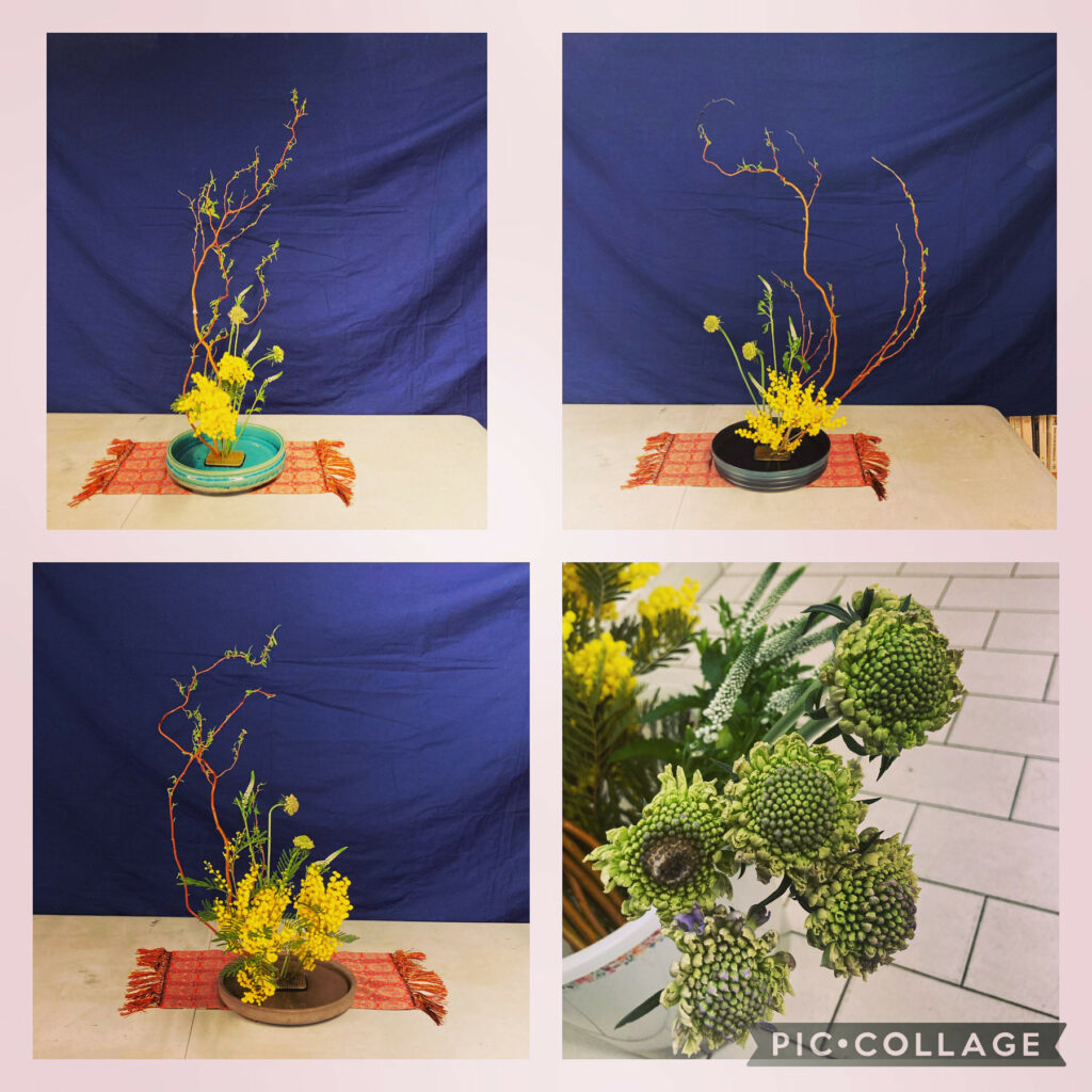 Ikebana lesson on March 11