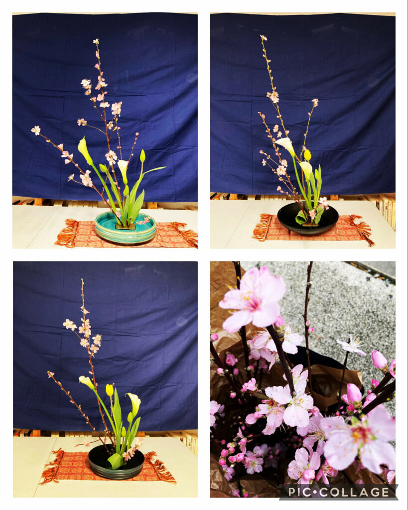 Ikebana lesson on March 8